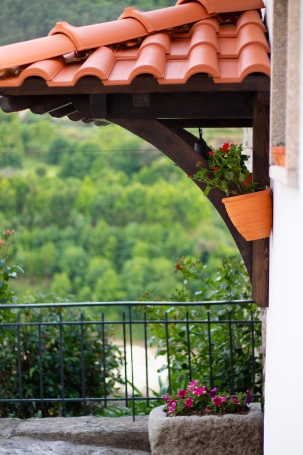 Quinta Do Tapadinho - Wine & Tourism Villa Moimenta Exteriör bild