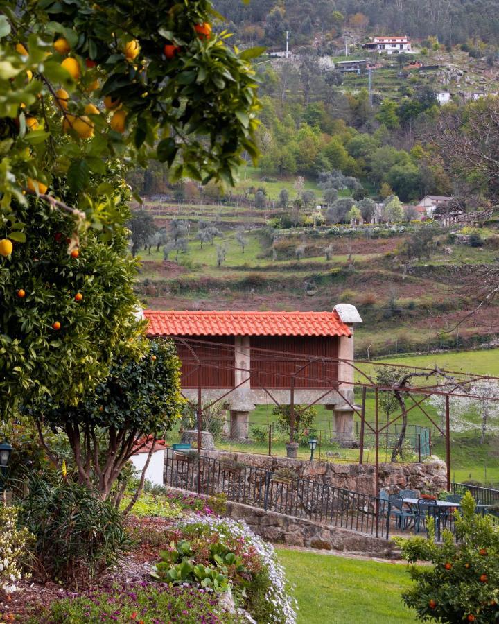 Quinta Do Tapadinho - Wine & Tourism Villa Moimenta Exteriör bild