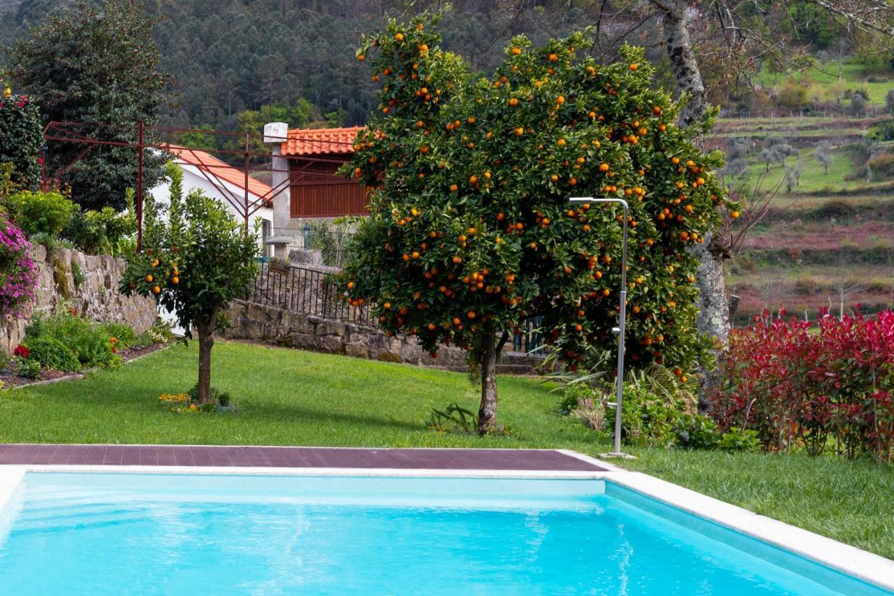 Quinta Do Tapadinho - Wine & Tourism Villa Moimenta Exteriör bild