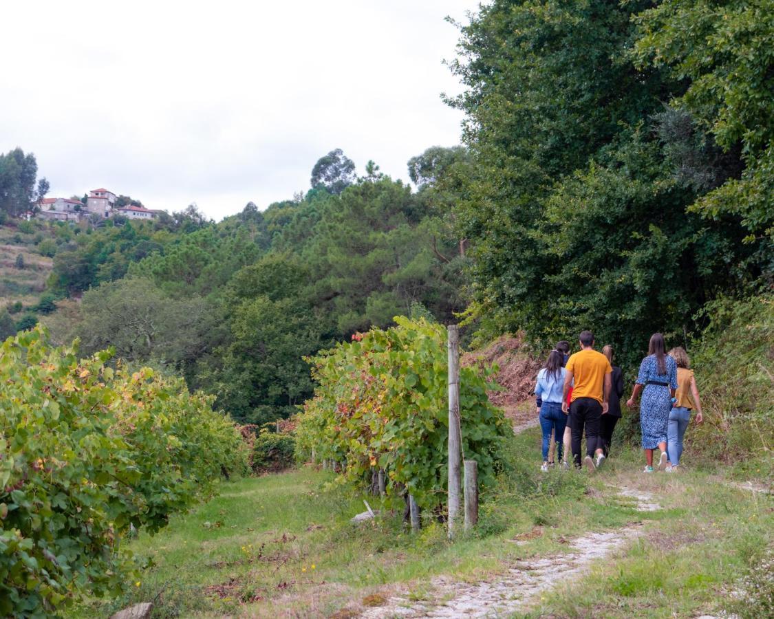 Quinta Do Tapadinho - Wine & Tourism Villa Moimenta Exteriör bild