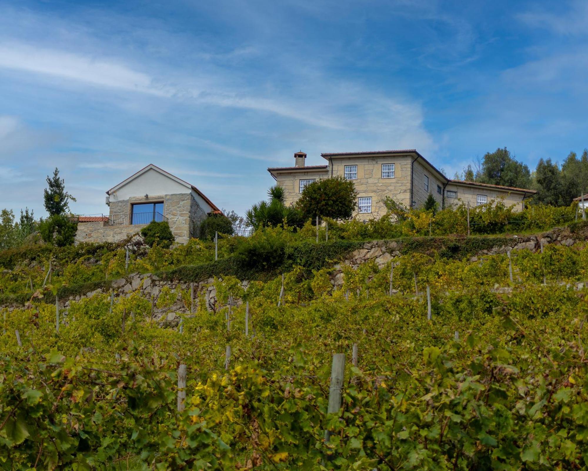 Quinta Do Tapadinho - Wine & Tourism Villa Moimenta Exteriör bild