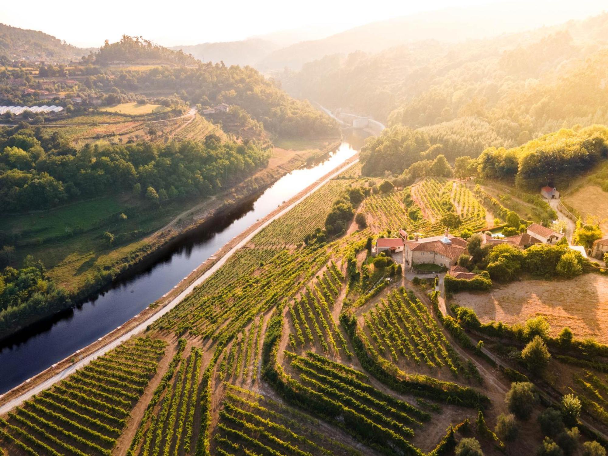 Quinta Do Tapadinho - Wine & Tourism Villa Moimenta Exteriör bild